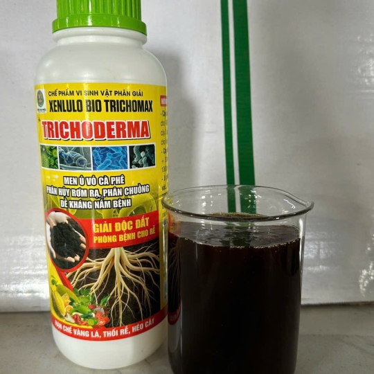 CÔNG TY TNHH NÔNG VẠN PHÚC